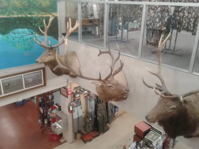 Mountain Road Park LLC & RV Park Picture 10