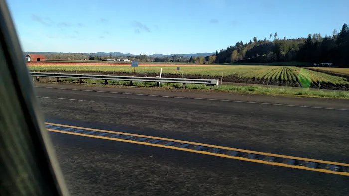 Mountain Road Park LLC & RV Park Picture 9