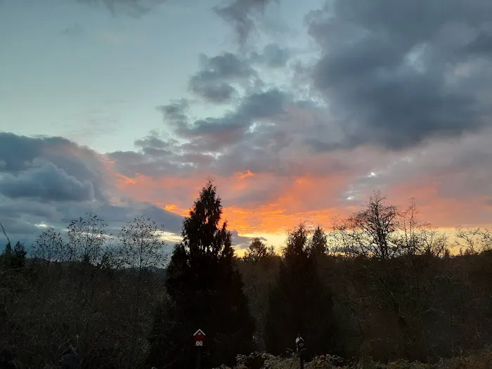 Harmony Lakeside RV & Cabins Resorts Picture 6