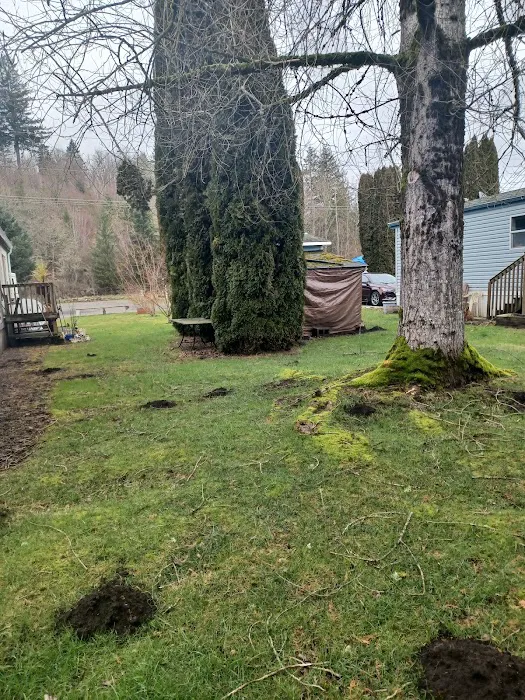 People's choice mobile home community Picture 8