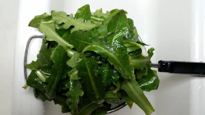 Outback RV Park Picture 2