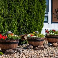 Meadowlark Estates ico