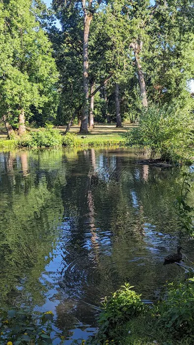 Paradise Island Park Picture 4