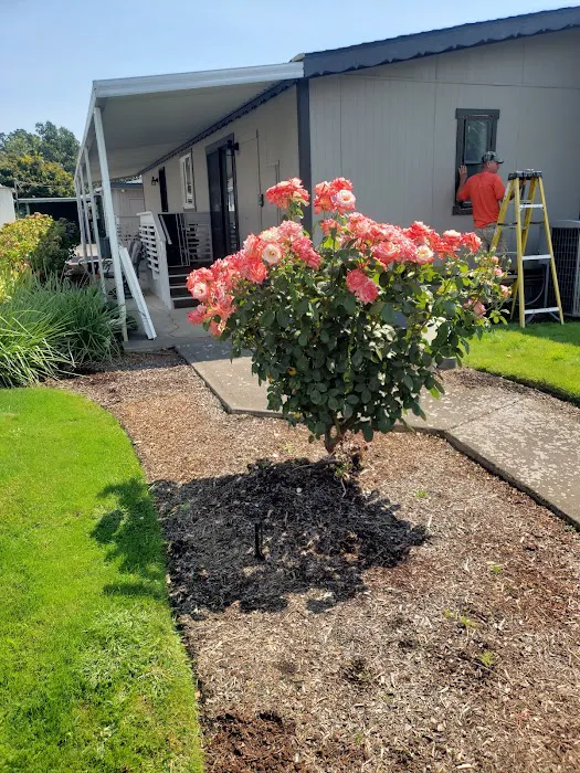 Paradise Island Park Picture 1