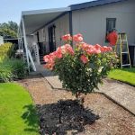 Paradise Island Park