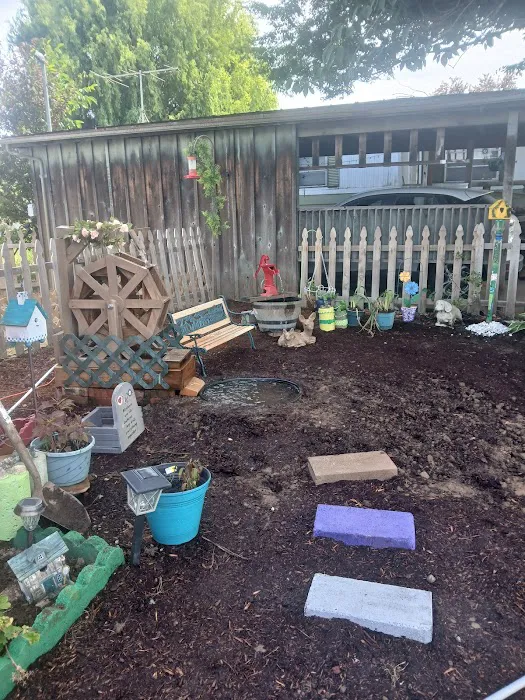 Paradise Island Park Picture 5