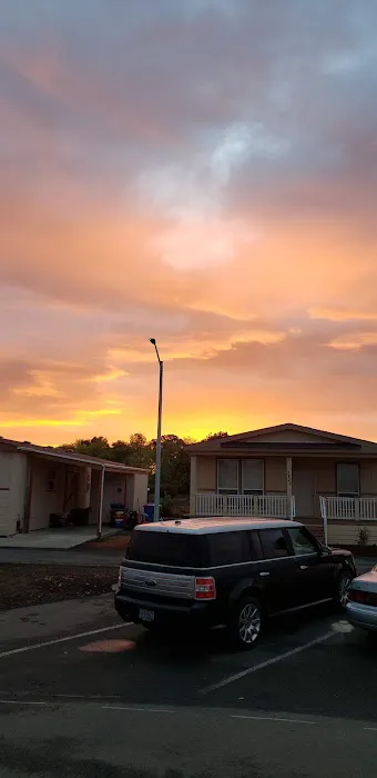 Paradise Island Park Picture 6