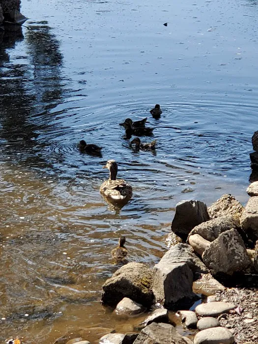 Lakeside Village Mobile Home Community Picture 7