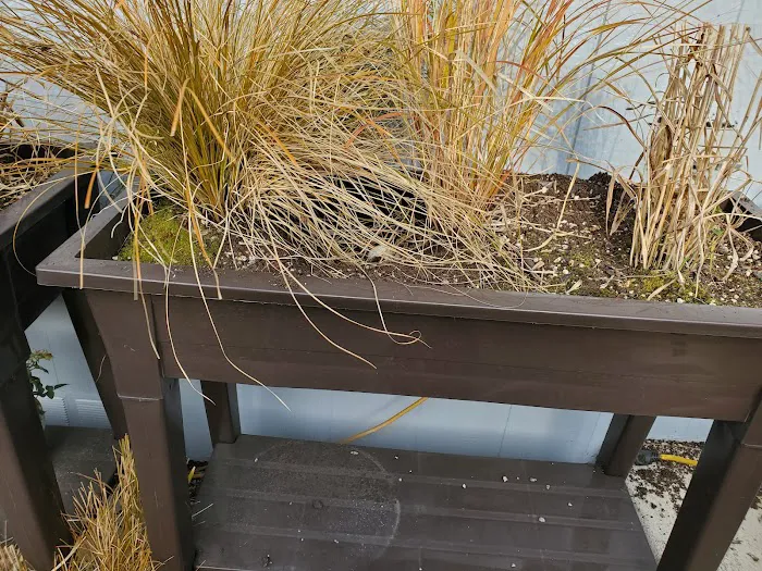 Lakeside Village Mobile Home Community Picture 5