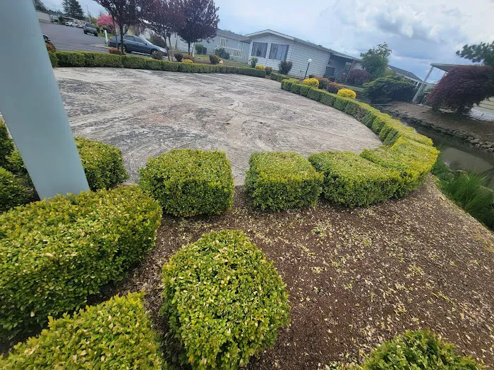 Lakeside Village Mobile Home Community Picture 6