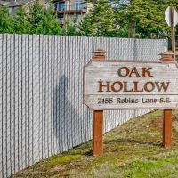 Oak Hollow ico