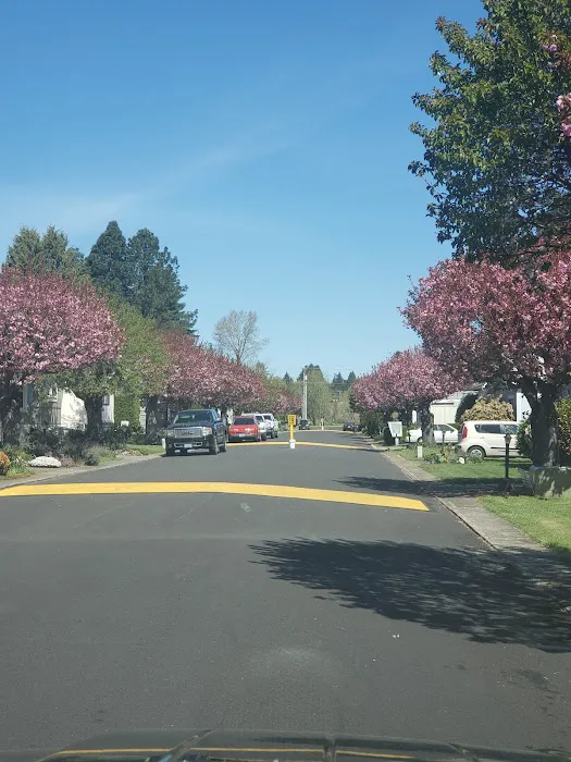 Brookside Mobile Home Park Picture 1