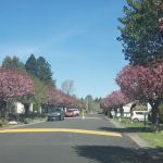 Brookside Mobile Home Park