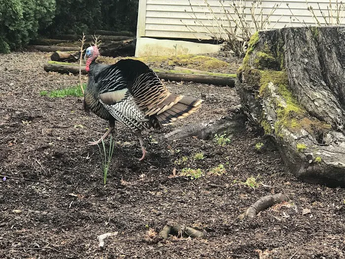 Southbrook Mobile Home Park Picture 5