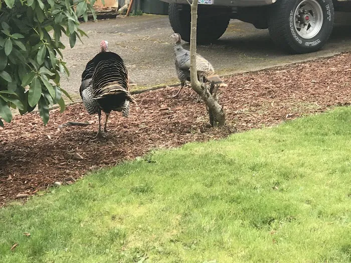 Southbrook Mobile Home Park Picture 7