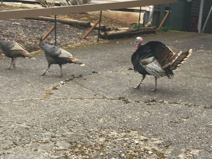 Southbrook Mobile Home Park Picture 9