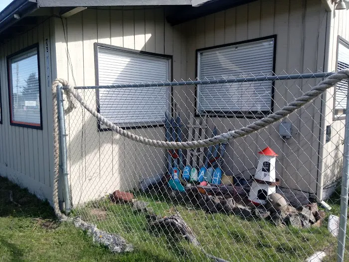 Black Bear Beach Camp Picture 2