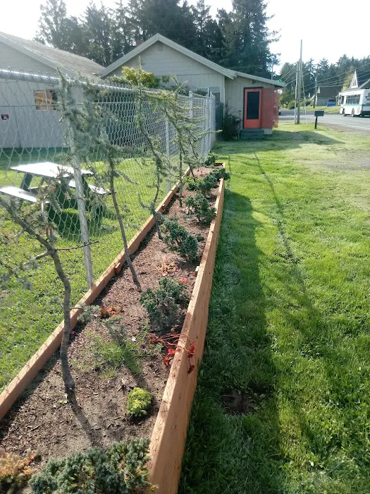 Black Bear Beach Camp Picture 5