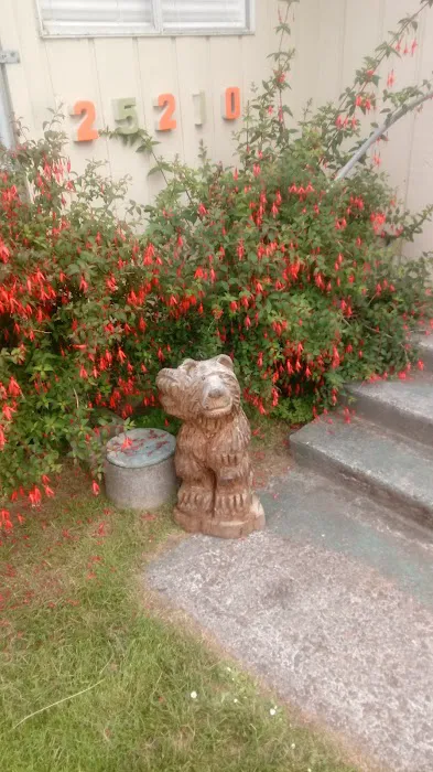 Black Bear Beach Camp Picture 7