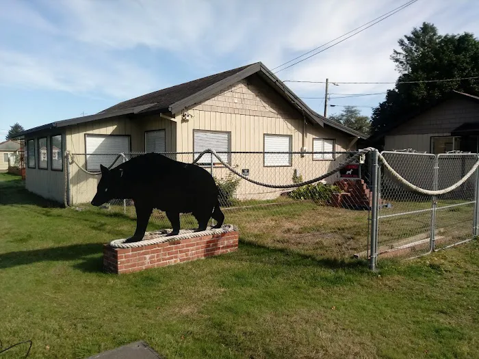 Black Bear Beach Camp Picture 9