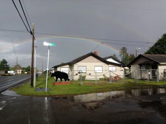 Black Bear Beach Camp Picture 8