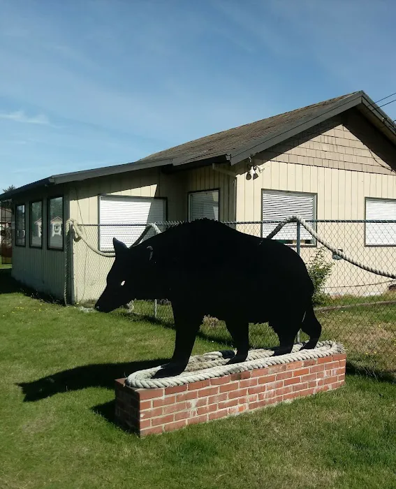 Black Bear Beach Camp Picture 1