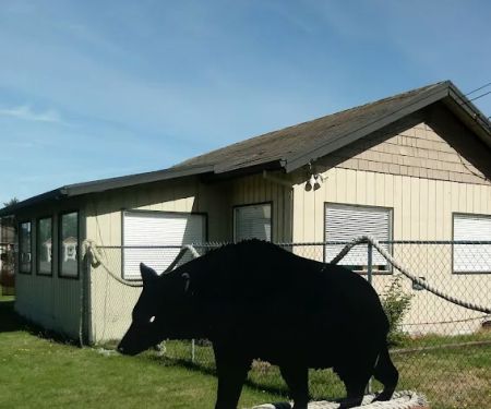 Black Bear Beach Camp