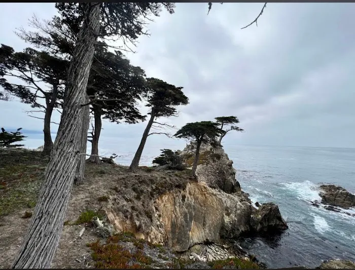 Ocean Bay Mobile & RV Park Picture 6