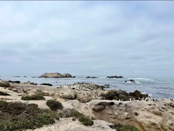 Ocean Bay Mobile & RV Park Picture 2