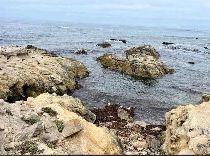 Ocean Bay Mobile & RV Park Picture 1