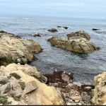 Ocean Bay Mobile & RV Park