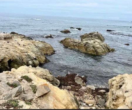 Ocean Bay Mobile & RV Park