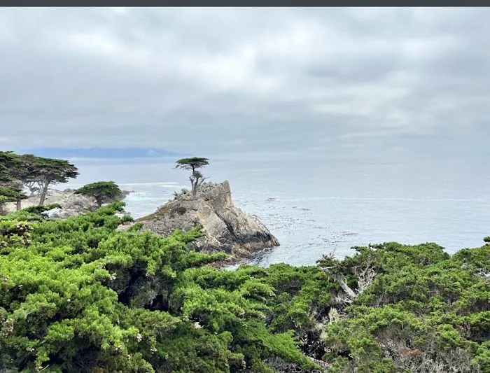 Ocean Bay Mobile & RV Park Picture 5