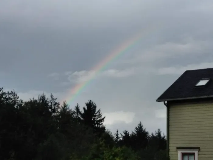 Ocean Bay Mobile & RV Park Picture 10