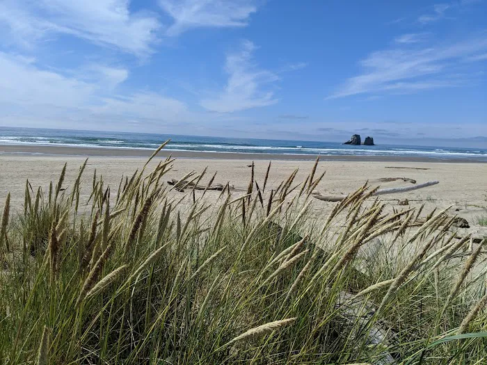 Shorewood RV Resort Picture 3