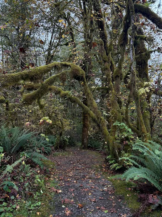 Roam Tillamook Picture 6