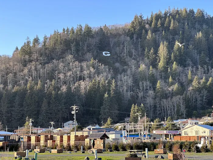 Port Of Garibaldi RV Park Picture 1