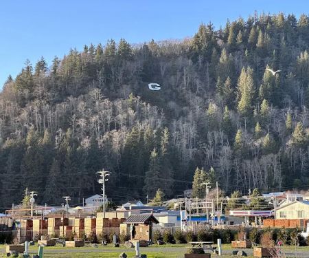 Port Of Garibaldi RV Park