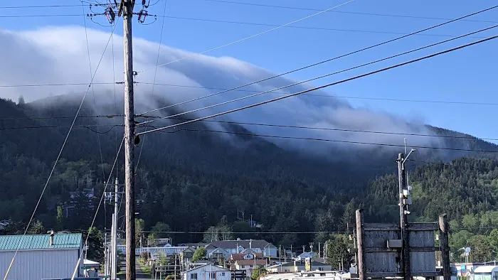 Port Of Garibaldi RV Park Picture 3