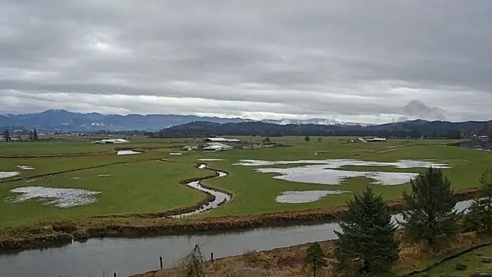 Tillamook Coast RV Park Picture 5