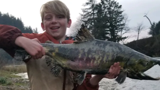 Misty River RV Park and Glamping Picture 10