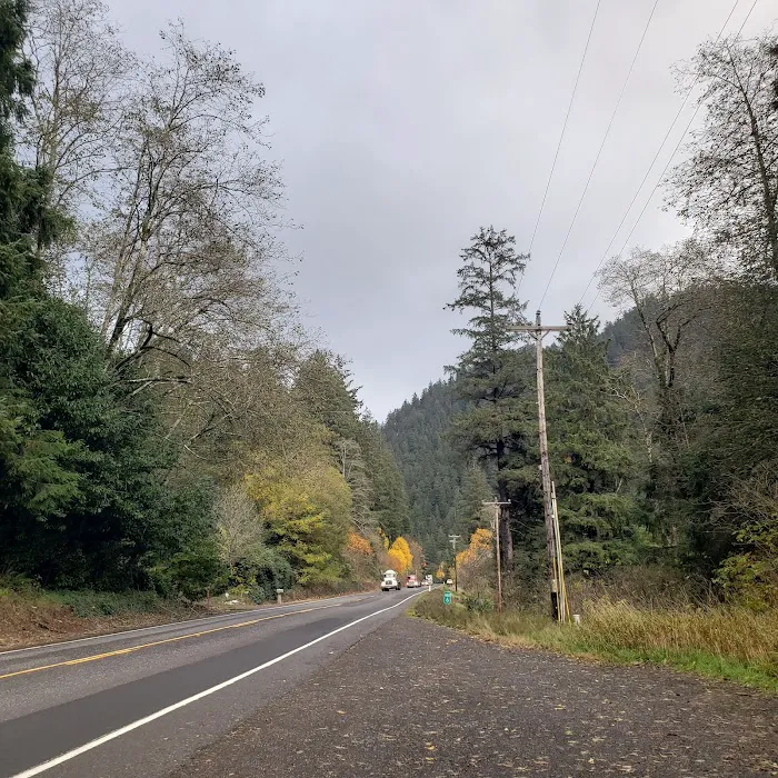 Misty River RV Park and Glamping Picture 5