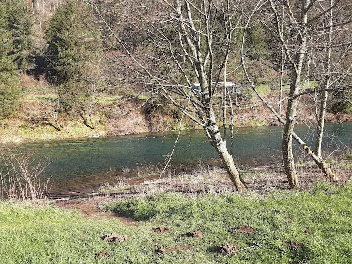 Misty River RV Park and Glamping Picture 6