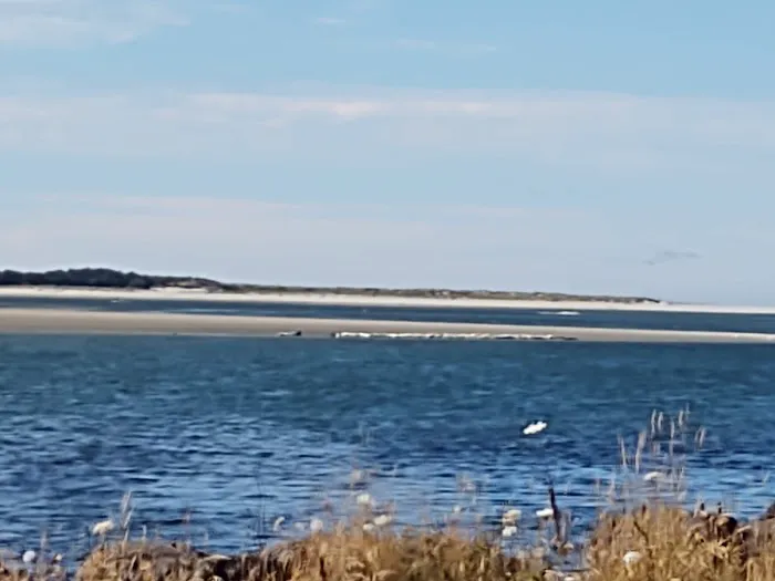 Netarts Way RV Park Picture 10