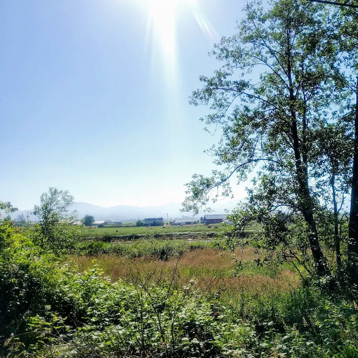 Netarts Way RV Park Picture 9