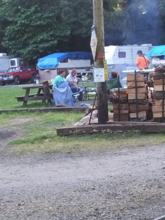 Netarts Way RV Park Picture 4