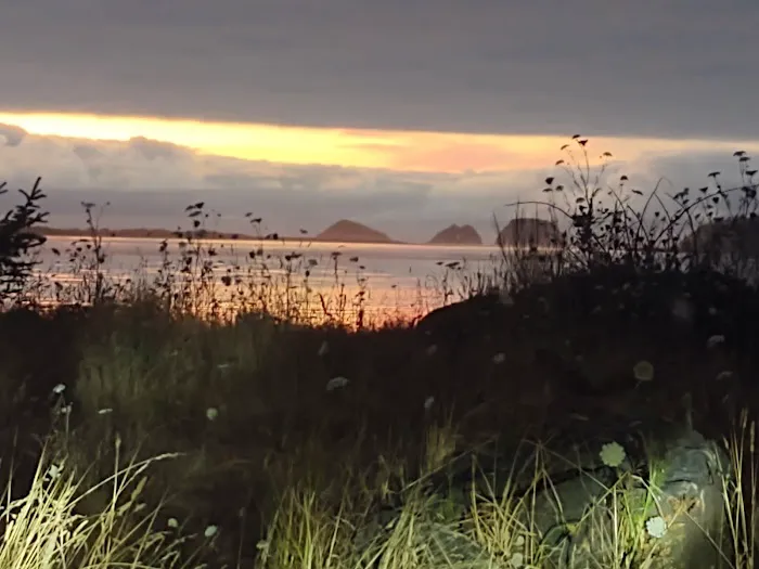 Netarts Way RV Park Picture 8