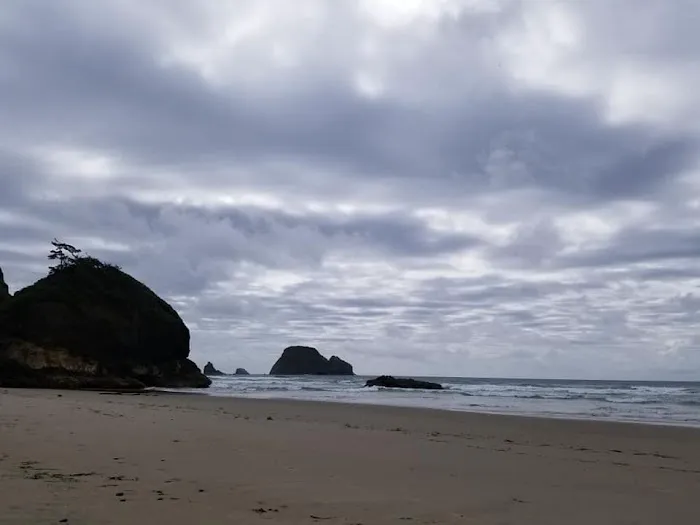 Netarts Way RV Park Picture 1