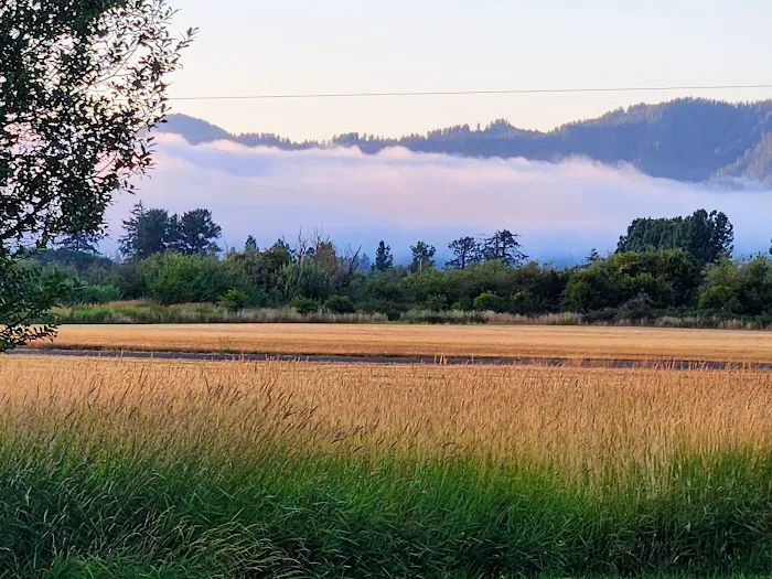 Port of Tillamook Bay RV Park Picture 6