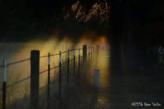 Tenino Estates LLC & RV Park Picture 2